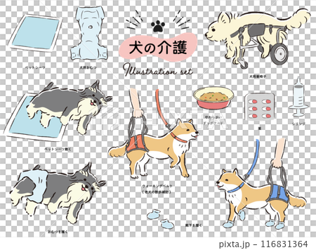 狗狗護理相關插畫集 116831364
