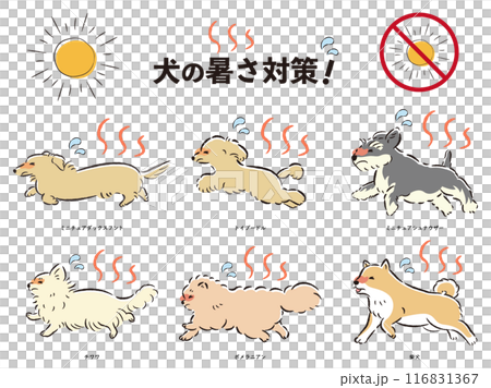 犬の暑さ対策のイラストセット 116831367