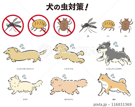 犬の虫対策のイラストセット 116831369