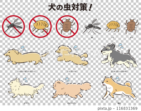 犬の虫対策のイラストセット 116831369