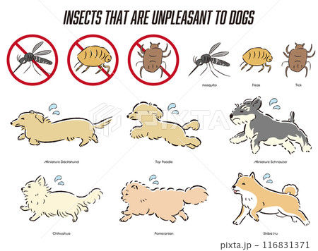 犬の虫対策のイラストセット 116831371