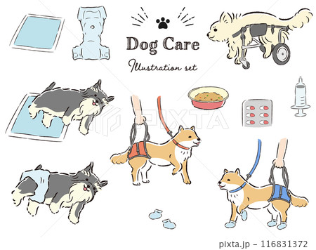 犬の介護関連のイラストセット 116831372