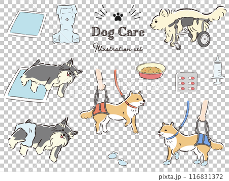 Dog care related illustration set Dog care related illustration set 116831372