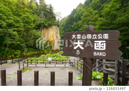 大函・層雲峡 116831497