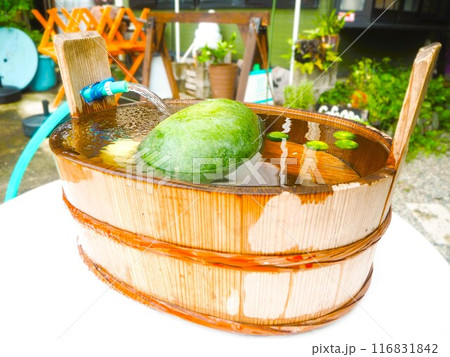 桶に入った野菜 桶に入った野菜 116831842
