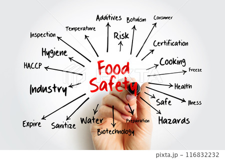 Food safety mind map, concept for presentations and reports 116832232