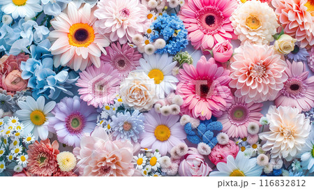 画面いっぱいのパステルカラーの花、背景 116832812
