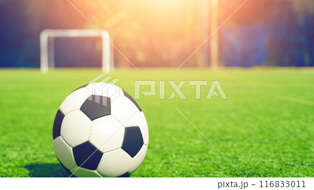 芝の上のサッカーボール 芝の上のサッカーボール 116833011
