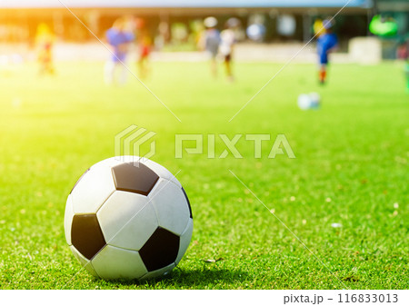 芝の上のサッカーボール 116833013