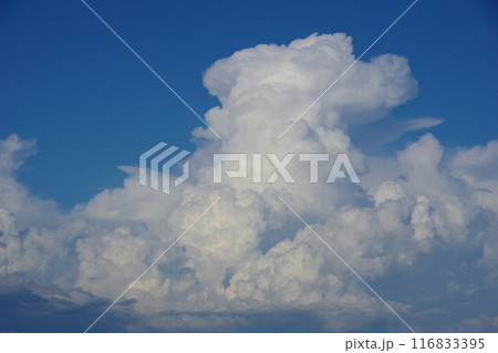 夏の空 入道雲 夏の空 入道雲 116833395