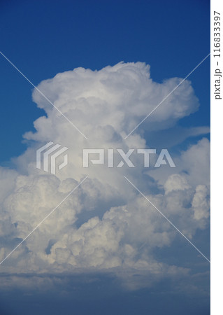 夏の空 入道雲 夏の空 入道雲 116833397