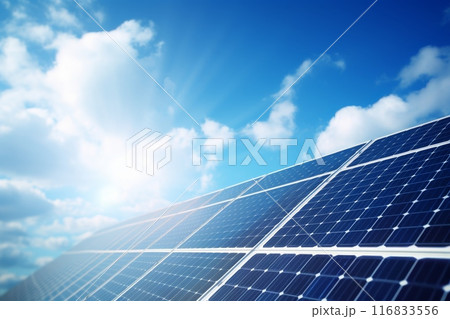 A solar panel under shining sunlight 116833556