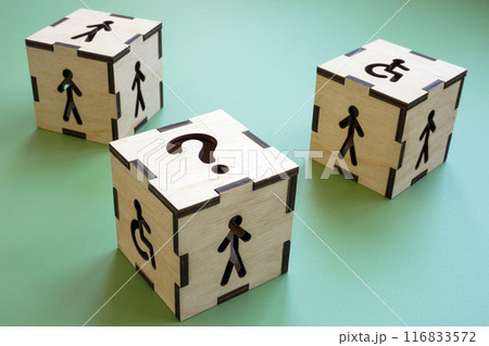 Inclusive onboarding strategy. Cubes with figures. Inclusive onboarding strategy. Cubes with figures. 116833572