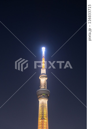 《東京都》スカイツリーの夜景・十間橋より 116833715