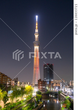 《東京都》スカイツリーの夜景 《東京都》スカイツリーの夜景 116833721