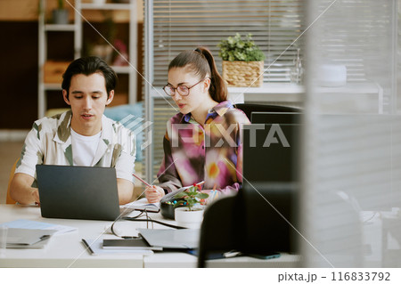 Young Caucasian IT specialists coding and making notes together in cozy office of leading IT company Young Caucasian IT specialists coding and making notes together in cozy office of leading IT company 116833792