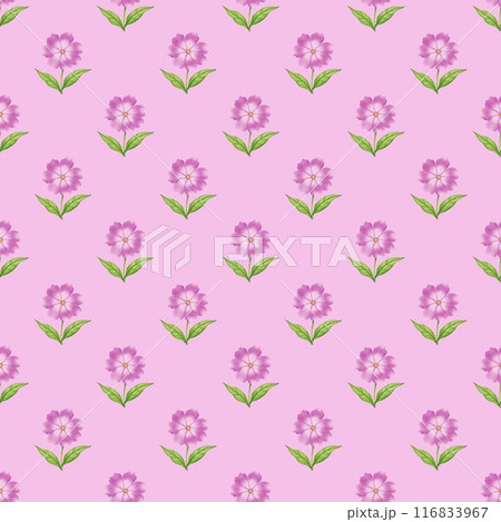 seamless pattern with pink flowers seamless pattern with pink flowers 116833967