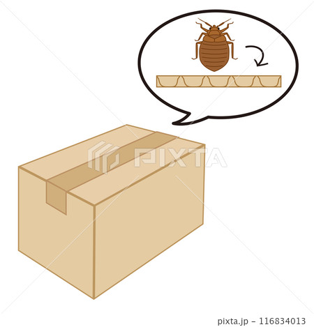 トコジラミが段ボールの隙間に隠れていることを表すイラスト 116834013
