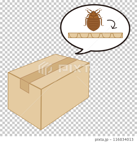 トコジラミが段ボールの隙間に隠れていることを表すイラスト 116834013