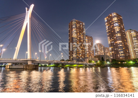 《東京都》ベイエリアに建つタワーマンションの夜景 《東京都》ベイエリアに建つタワーマンションの夜景 116834141