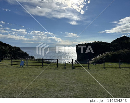 千葉県勝浦市の南房総国定公園 鵜原理想郷 千葉県勝浦市の南房総国定公園 鵜原理想郷 116834248