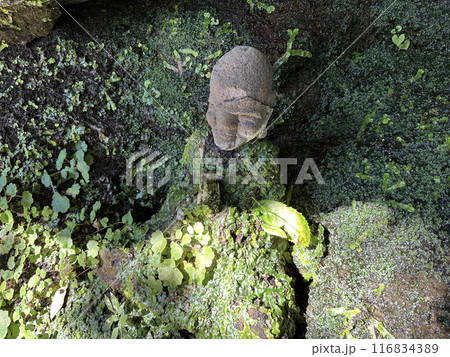 千葉県・鋸山日本寺 千葉県・鋸山日本寺 116834389