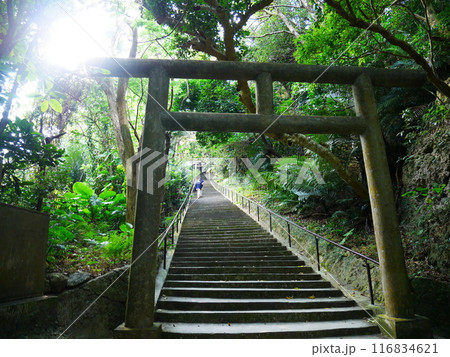 シルミチュー  浜比嘉島 沖縄県うるま市 116834621