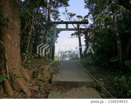 沖縄・末吉宮 116834633