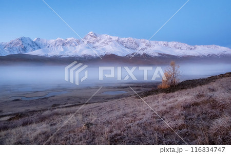 Autumn misty morning on mountain plateau. Autumn misty morning on mountain plateau. 116834747