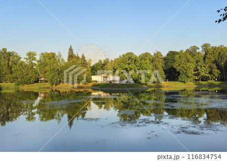 Ferris wheel and reflections of trees in a pond. Ferris wheel and reflections of trees in a pond. 116834754