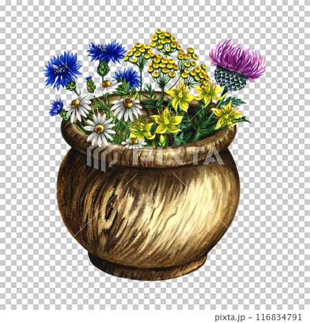 Wildflowers in a wooden pot. Rustic still life. A hand-drawn watercolor illustration. Isolate. For packaging, labels, layout of banners, flyers and postcards. Wildflowers in a wooden pot. Rustic still life. A hand-drawn watercolor illustration. Isolate. For packaging, labels, layout of banners, flyers and postcards. 116834791