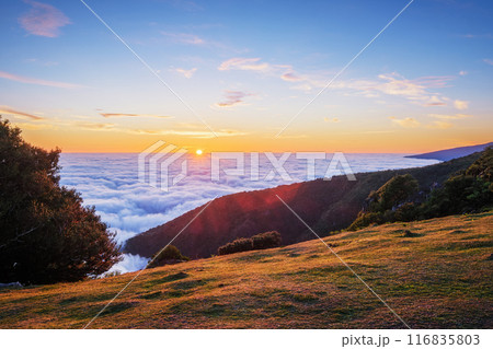 Sunrise above clouds on Madeira island, Portugal 116835803