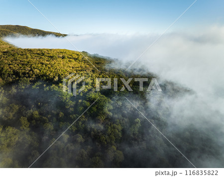 Aerial view of green hills of Madeira island, Portugal Aerial view of green hills of Madeira island, Portugal 116835822
