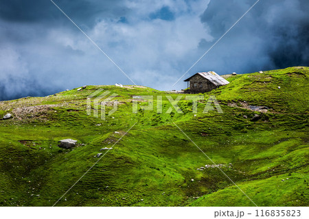 Serenity serene lonely scenery background concept 116835823