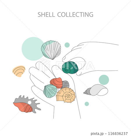 Shell Collecting concept. Illustration captures the joy of gathering various seashells by the beach during summertime. Hand-picked ocean treasures shown in delicate art style. Vector illustration. 116836237