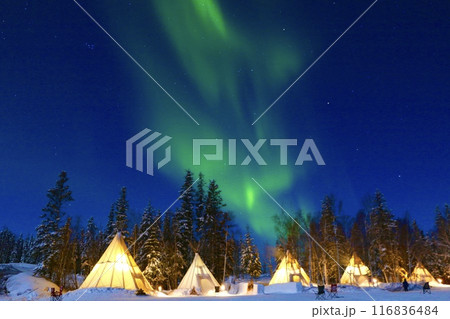 カナダのイエローナイフでのオーロラ カナダのイエローナイフでのオーロラ 116836484