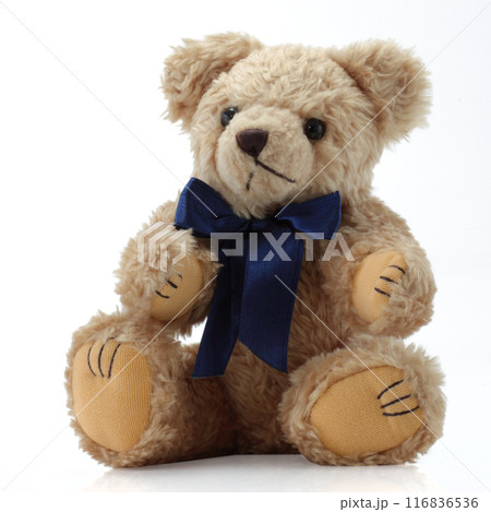 Teddy Bear with a blue bow sitting down Teddy Bear with a blue bow sitting down 116836536