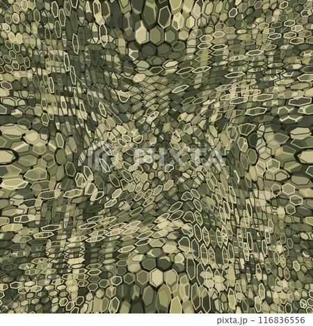 Abstract modern army camo, hex ornament for autumn forest or desert Abstract modern army camo, hex ornament for autumn forest or desert 116836556