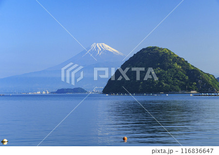 沼津から望む、駿河湾越しの冠雪した冠雪の富士山 116836647