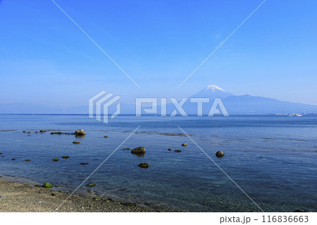 沼津から望む、駿河湾越しの冠雪した冠雪の富士山 沼津から望む、駿河湾越しの冠雪した冠雪の富士山 116836663