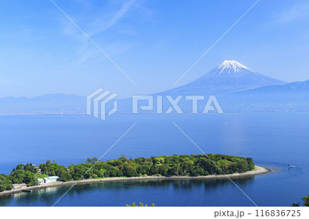 戸田から望む駿河湾と富士山 116836725