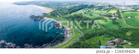空撮「青森県」ドローンで上空から種差海岸を撮影　中須賀・大須賀海岸 116836826