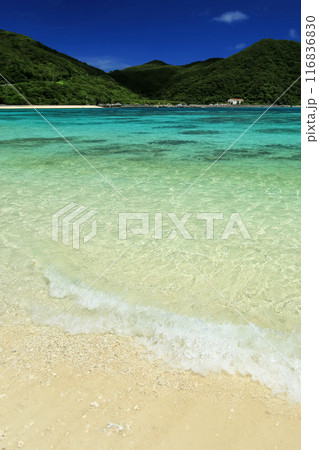 真夏の沖縄　慶良間諸島　渡嘉敷島 透明度抜群の阿波連ビーチ 116836830