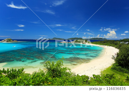 真夏の沖縄　慶良間諸島　渡嘉敷島の風景　阿波連ビーチ 116836835