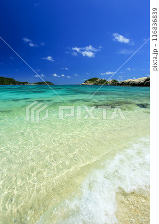 真夏の沖縄　慶良間諸島　渡嘉敷島 透明度抜群の阿波連ビーチ 116836839
