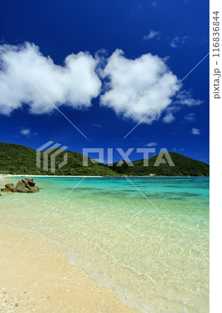 真夏の沖縄 慶良間諸島 渡嘉敷島 透明度抜群の阿波連ビーチ 真夏の沖縄 慶良間諸島 渡嘉敷島 透明度抜群の阿波連ビーチ 116836844