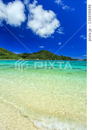 真夏の沖縄　慶良間諸島　渡嘉敷島 透明度抜群の阿波連ビーチ 116836846