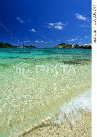 真夏の沖縄 慶良間諸島 渡嘉敷島 透明度抜群の阿波連ビーチ 真夏の沖縄 慶良間諸島 渡嘉敷島 透明度抜群の阿波連ビーチ 116836847