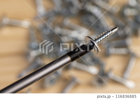 steel self-tapping screws for working with wooden products steel self-tapping screws for working with wooden products 116836885