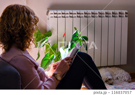Woman studying at home, reclining on the home sofa next to the window Woman studying at home, reclining on the home sofa next to the window 116837057